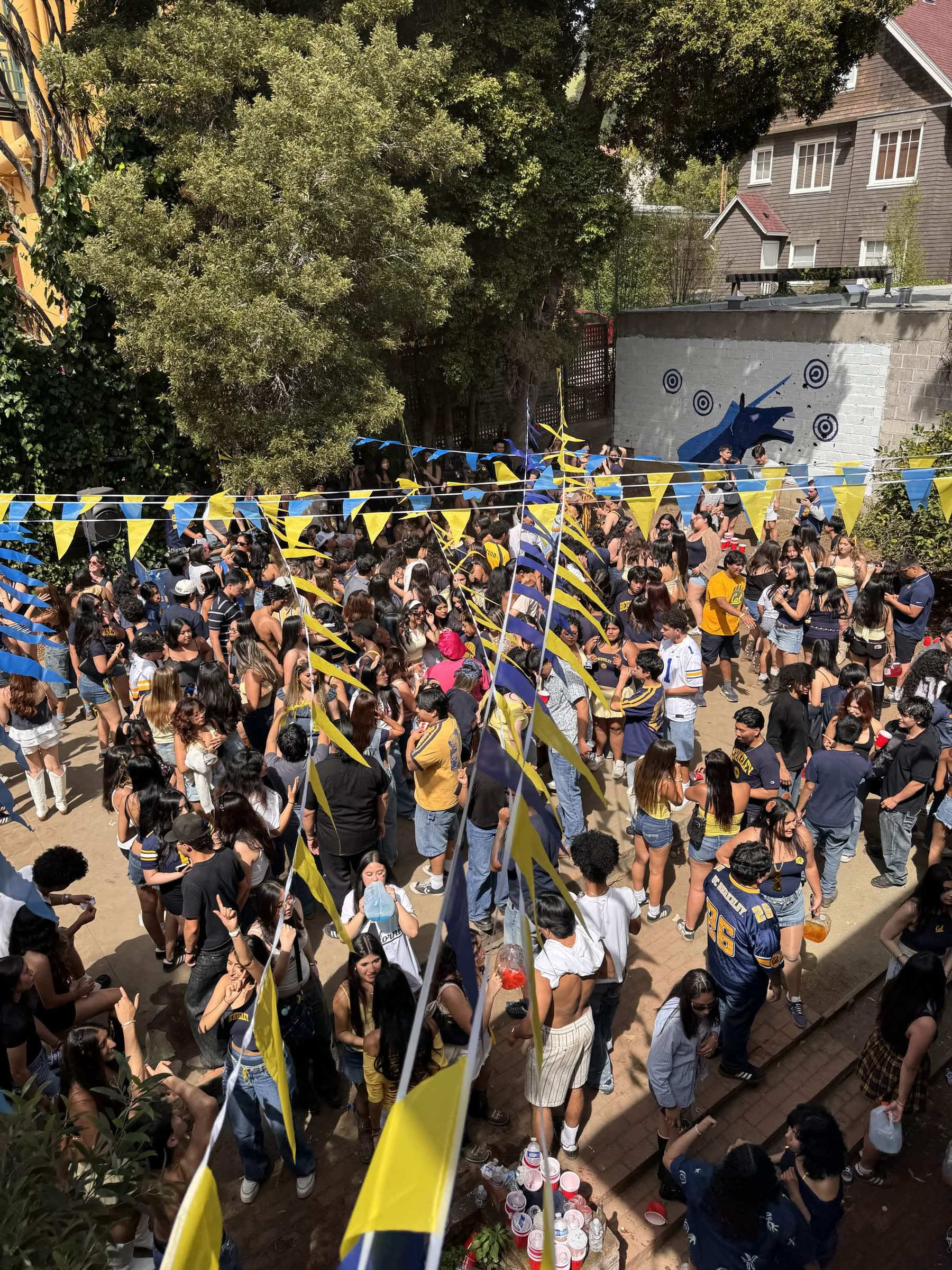 A large daytime gathering in the backyard viewed from above